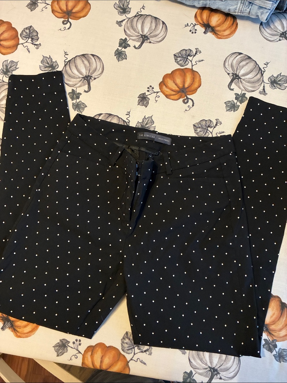 The Limited Black Polka Dot Men’s Dress Pants